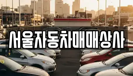 전북 완주군 용진읍 중고차 전문 서울자동차매매상사