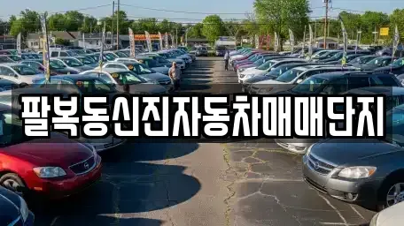 전북 완주군 용진읍 중고차 전문 팔복동신진자동차매매단지