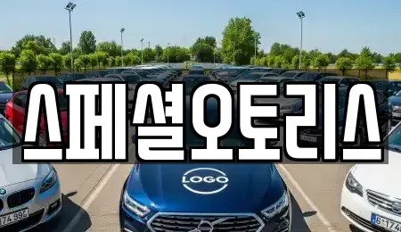 전북 익산시 중앙동3가 장기렌트카 전문 스페셜오토리스