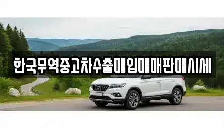 전북 익산시 중앙동3가 중고차 전문 한국무역중고차수출매입매매판매시세
