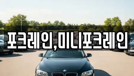 전북 전주시 덕진구 송천동1가 중고차매입 전문 포크레인,미니포크레인