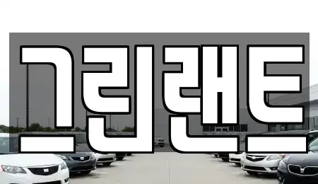 전북 전주시 덕진구 우아동2가 렌트카 전문 그린랜트