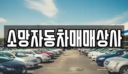 전북 전주시 완산구 중고차매매 전문 소망자동차매매상사