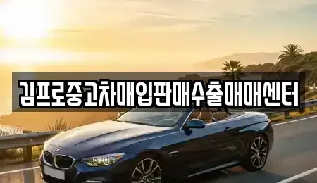 전북 진안군 진안읍 중고차 전문 김프로중고차매입판매수출매매센터