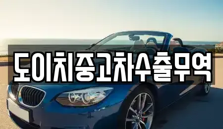 전북특별자치도 군산시 장미동 중고차매매 전문 도이치중고차수출무역
