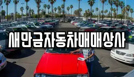 전북특별자치도 군산시 장미동 중고차매매 전문 새만금자동차매매상사