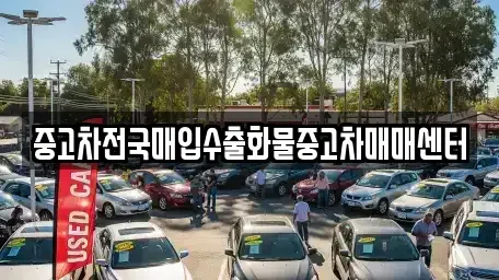 전북특별자치도 군산시 장미동 중고차매입 전문 중고차전국매입수출화물중고차매매센터