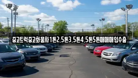 전북특별자치도 군산시 중앙로2가 중고차매입 전문 중고트럭중고화물차1톤2.5톤3.5톤4.5톤5톤매매매입수출