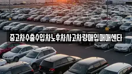 전북특별자치도 김제시 하동 중고차매입 전문 중고차수출수입차노후차사고차량매입매매센타