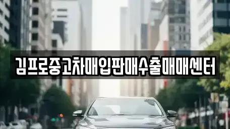 전북특별자치도 남원시 도통동 중고차매입 전문 김프로중고차매입판매수출매매센터