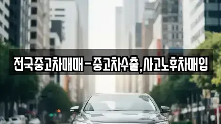전북특별자치도 남원시 도통동 중고차매입 전문 전국중고차매매-중고차수출,사고노후차매입