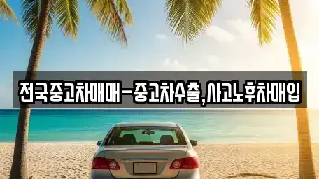 전북특별자치도 남원시 용정동 중고차매입 전문 전국중고차매매-중고차수출,사고노후차매입