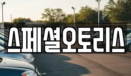 전북특별자치도 익산시 중앙동3가 장기렌트카 전문 스페셜오토리스