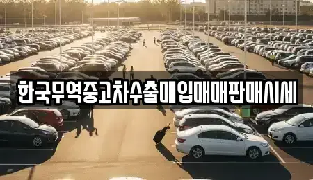 전북특별자치도 익산시 중앙동3가 중고차 전문 한국무역중고차수출매입매매판매시세