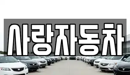 전북특별자치도 전주시 덕진구 전미동1가 중고차매매 전문 사랑자동차