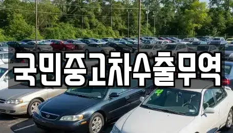전북특별자치도 전주시 완산구 상림동 중고차매매 전문 국민중고차수출무역
