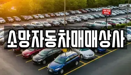 전북특별자치도 전주시 완산구 상림동 중고차매매 전문 소망자동차매매상사