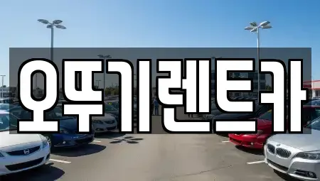 전북특별자치도 정읍시 상평동 렌트카 전문 오뚜기렌트카