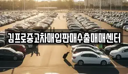 전북특별자치도 정읍시 상평동 중고차 전문 김프로중고차매입판매수출매매센터