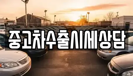 전북특별자치도 정읍시 진산동 중고차매매 전문 중고차수출시세상담