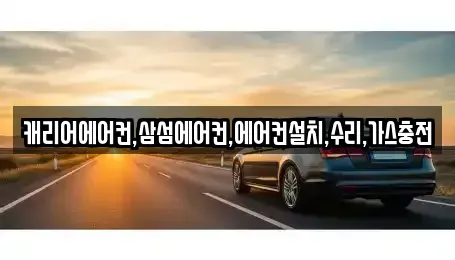 제주 제주시 도련이동 중고차매입 전문 캐리어에어컨,삼섬에어컨,에어컨설치,수리,가스충전