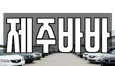 제주 제주시 아라이동 렌트카 전문 제주바바