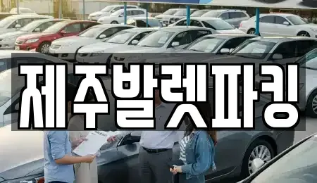 제주 제주시 아라이동 렌트카 전문 제주발렛파킹