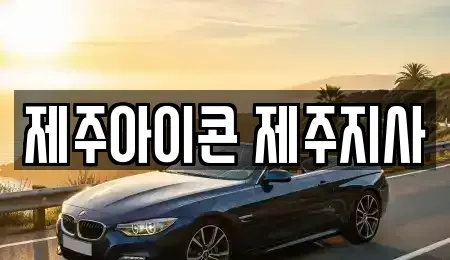제주 제주시 아라이동 렌트카 전문 제주아이콘 제주지사