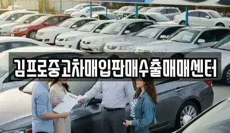 제주 제주시 아라이동 단기렌트카,중고차매입,중고차매매,중고차,렌트카,장기렌트카