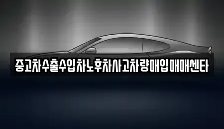 제주 제주시 아라이동 중고차매입 전문 중고차수출수입차노후차사고차량매입매매센타