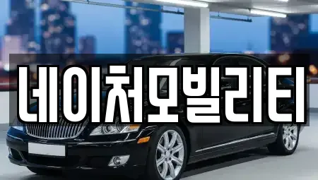 제주 제주시 영평동 렌트카 전문 네이처모빌리티