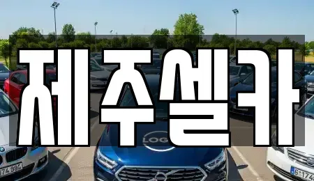 제주 제주시 영평동 중고차 전문 제주셀카