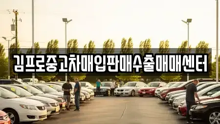 제주 제주시 영평동 중고차매입 전문 김프로중고차매입판매수출매매센터