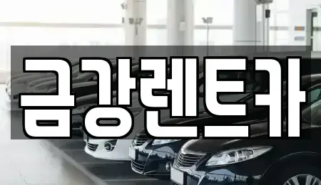 제주 제주시 오라일동 렌트카 전문 금강렌트카