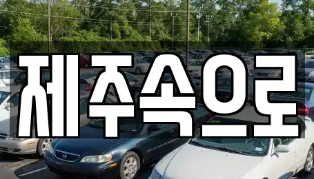 제주 제주시 오라일동 렌트카 전문 제주속으로