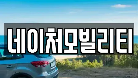 제주 제주시 용강동 렌트카 전문 네이처모빌리티