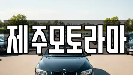 제주 제주시 용강동 중고차매매 전문 제주모토라마