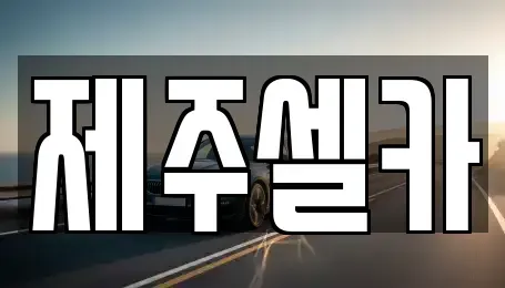 제주 제주시 용강동 중고차매매 전문 제주셀카