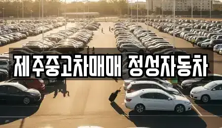제주 제주시 용강동 중고차매매,단기렌트카,중고차매입,장기렌트카,중고차,렌트카