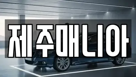 제주 제주시 화북일동 렌트카 전문 제주매니아