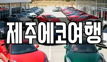 제주 제주시 화북일동 렌트카 전문 제주에코여행