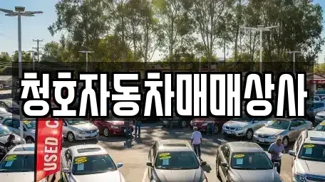 제주 제주시 화북일동 중고차 전문 청호자동차매매상사