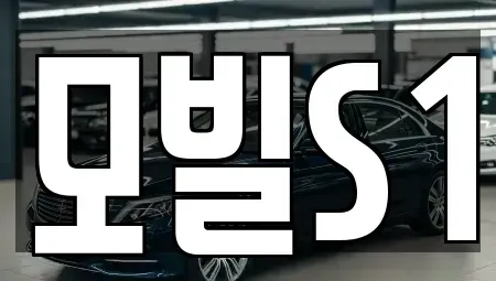 제주 제주시 화북일동 중고차매입 전문 모빌S1
