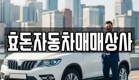 제주특별자치도 서귀포시 보목동 중고차 전문 효돈자동차매매상사