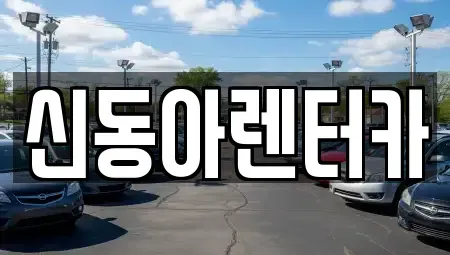 제주특별자치도 제주시 도평동 렌트카 전문 신동아렌터카