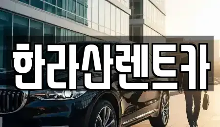 제주특별자치도 제주시 도평동 렌트카 전문 한라산렌트카