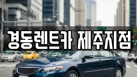 제주특별자치도 제주시 도평동 장기렌트카 전문 경동렌트카 제주지점