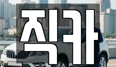 제주특별자치도 제주시 도평동 중고차 전문 직카