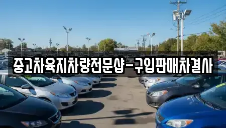제주특별자치도 제주시 삼양일동 중고차매매,단기렌트카,중고차매입,장기렌트카,중고차,렌트카
