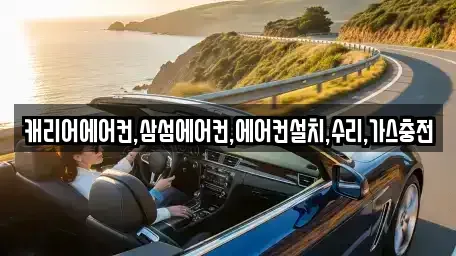 제주특별자치도 제주시 삼양일동 중고차매입 전문 캐리어에어컨,삼섬에어컨,에어컨설치,수리,가스충전